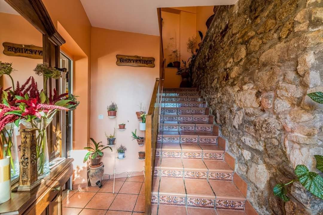 Apartamentos & Casa Rural Boada Con Jardin Interior Y Barbacoa Villamiel 外观 照片