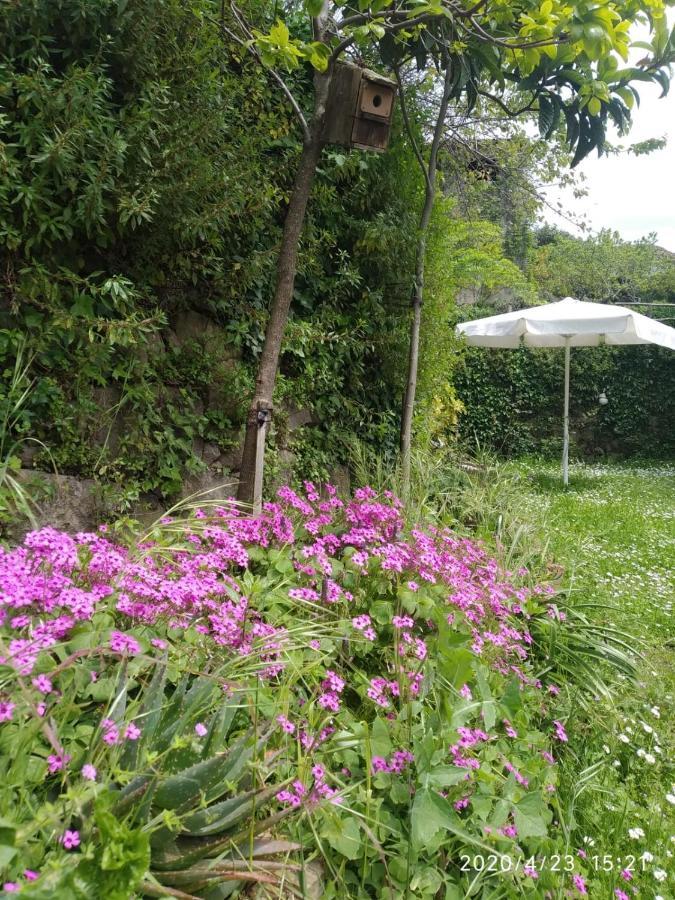 Apartamentos & Casa Rural Boada Con Jardin Interior Y Barbacoa Villamiel 外观 照片